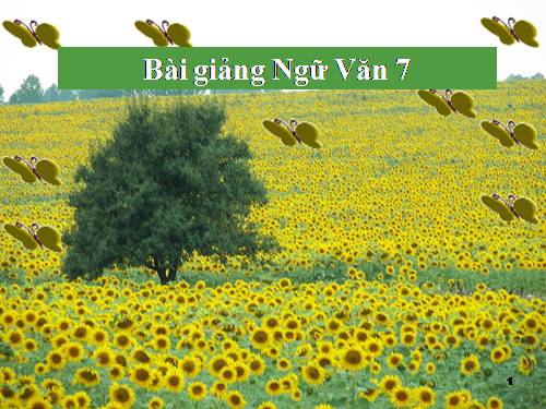 Bài 6. Từ Hán Việt (tiếp theo)