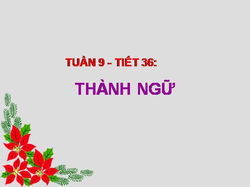 Bài 12. Thành ngữ