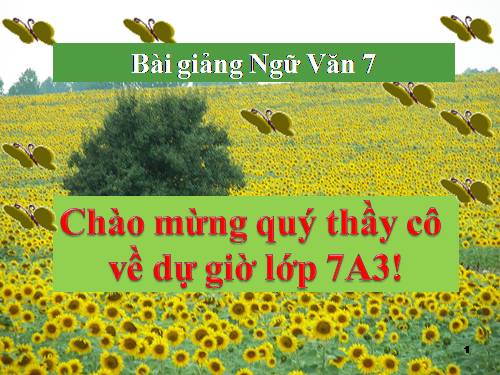 Bài 6. Từ Hán Việt (tiếp theo)