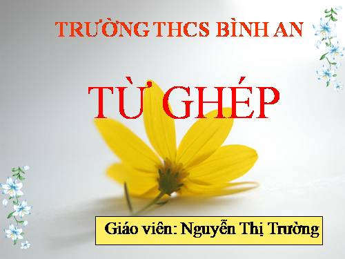 Bài 1. Từ ghép