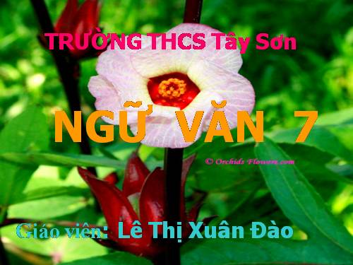 Bài 4. Những câu hát than thân