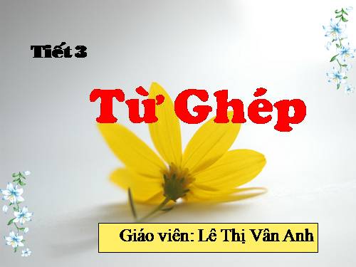 Bài 1. Từ ghép