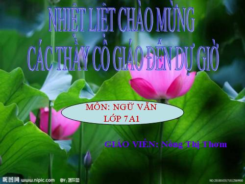 Bài 24. Luyện tập viết đoạn văn chứng minh
