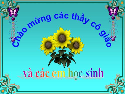 Bài 3. Từ láy