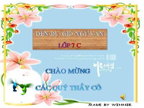 Bài 24. Chuyển đổi câu chủ động thành câu bị động (tiếp theo)