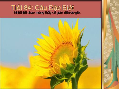 Bài 20. Câu đặc biệt