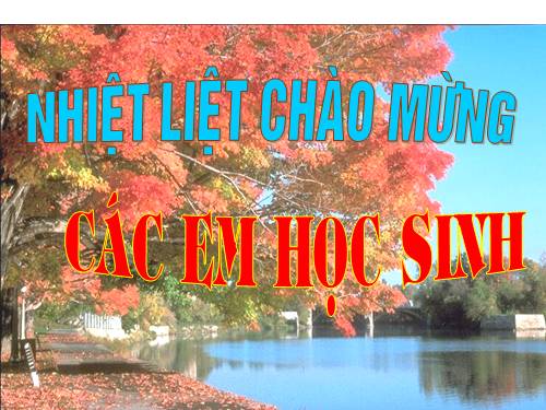 Bài 21. Thêm trạng ngữ cho câu