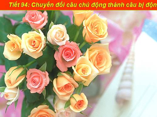 Bài 23. Chuyển đổi câu chủ động thành câu bị động