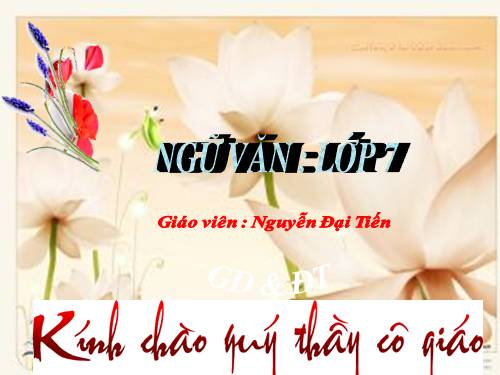 Bài 14. Chuẩn mực sử dụng từ