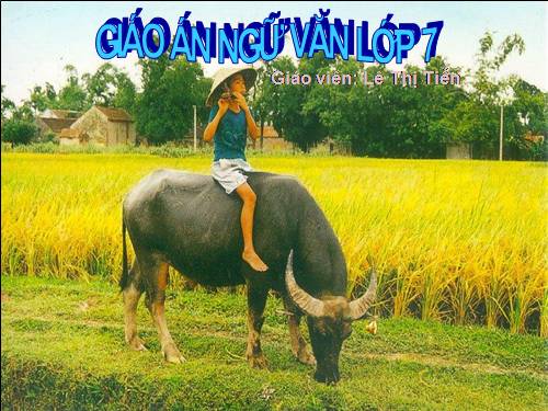 Bài 18. Tục ngữ về thiên nhiên và lao động sản xuất