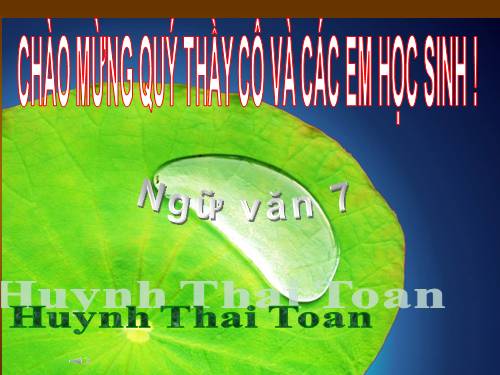 Bài 14. Ôn tập văn bản biểu cảm