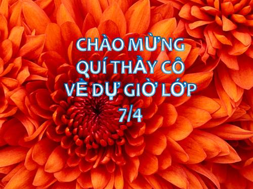Bài 8. Bạn đến chơi nhà