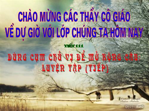 Bài 25. Dùng cụm chủ - vị để mở rộng câu