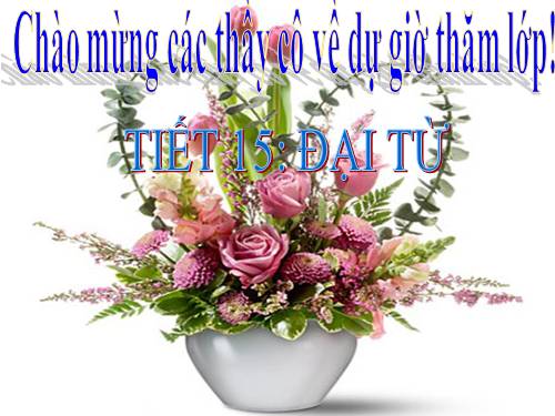 Bài 4. Đại từ