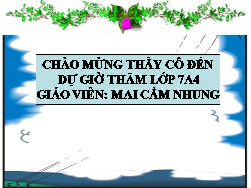 Bài 6. Từ Hán Việt (tiếp theo)