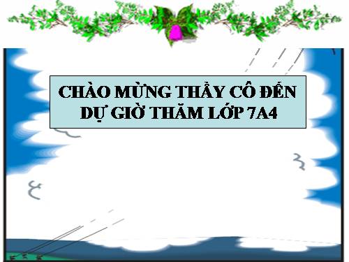 Bài 6. Từ Hán Việt (tiếp theo)