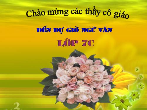 Bài 4. Đại từ