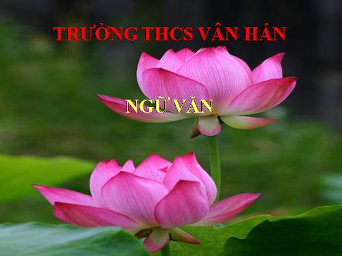 Bài 14. Một thứ quà của lúa non: Cốm