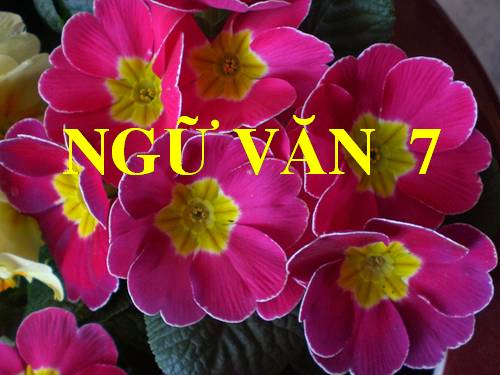 Bài 11. Từ đồng âm