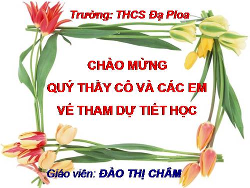 Bài 14. Chơi chữ