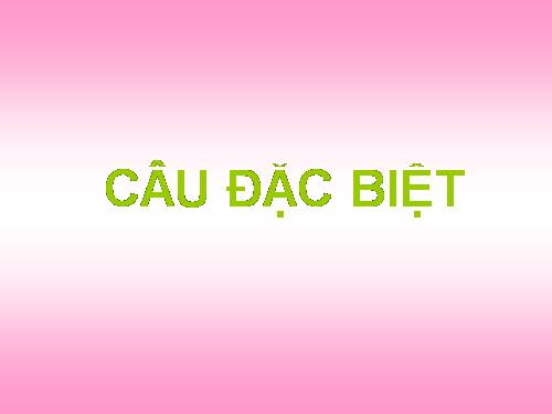 Bài 20. Câu đặc biệt