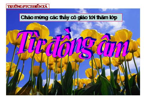 Bài 11. Từ đồng âm