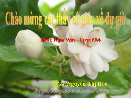 Bài 10. Cảm nghĩ trong đêm thanh tĩnh (Tĩnh dạ tứ)