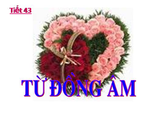 Bài 11. Từ đồng âm