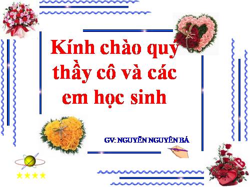 Bài 11. Từ đồng âm