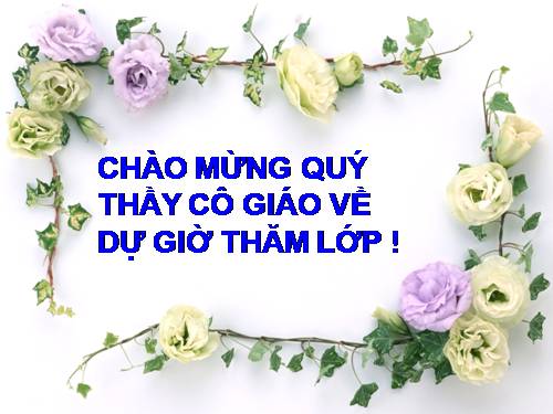 Bài 23. Chuyển đổi câu chủ động thành câu bị động