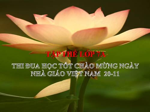 Bài 11. Từ đồng âm