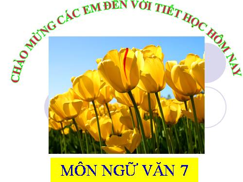 Bài 7. Bánh trôi nước