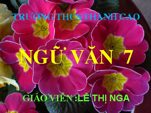 Bài 11. Từ đồng âm