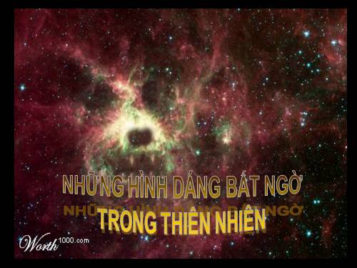 Những hình ảnh bất ngờ trong thiên nhiên