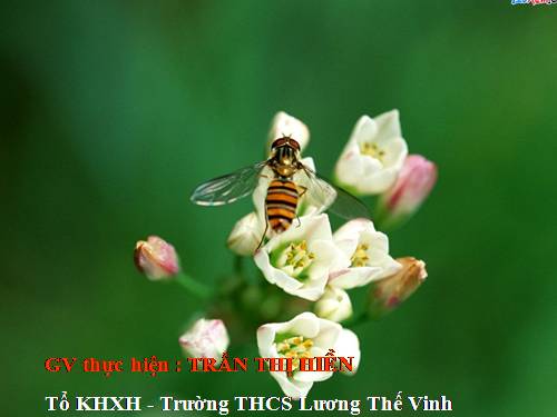 Bài 25. Ôn tập văn nghị luận