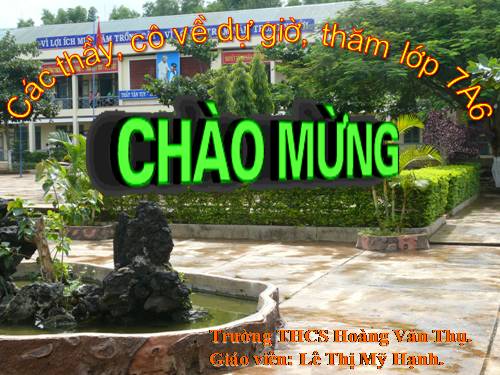 Bài 11. Từ đồng âm