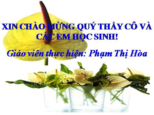 Bài 24. Chuyển đổi câu chủ động thành câu bị động (tiếp theo)
