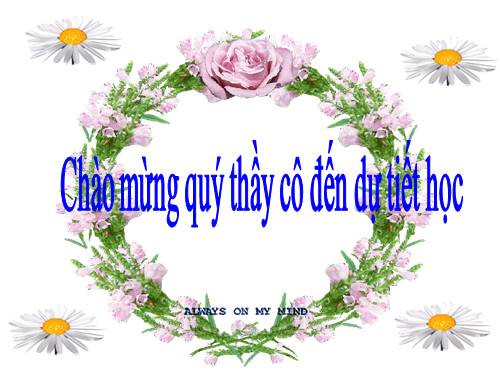 Bài 23. Chuyển đổi câu chủ động thành câu bị động