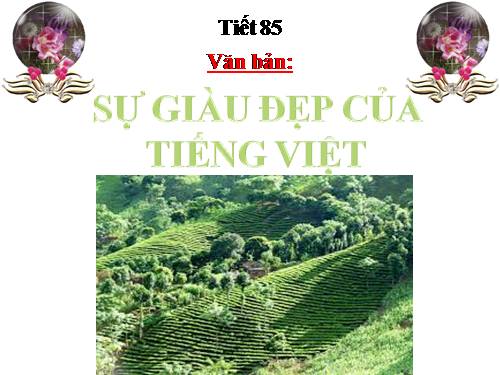 Bài 21. Sự giàu đẹp của Tiếng Việt