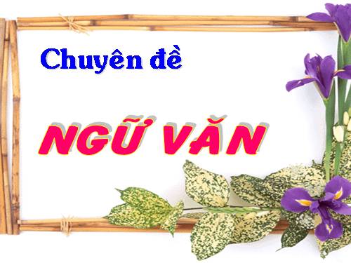 Chuyên đề ôn tập bằng bản đồ tư duy