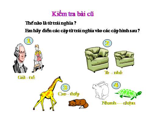 Bài 11. Từ đồng âm