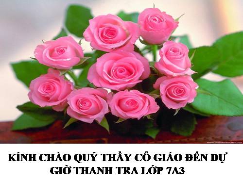 Bài 13. Làm thơ lục bát