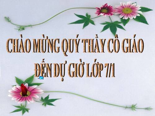 Bài 16. Ôn tập phần Tiếng Việt