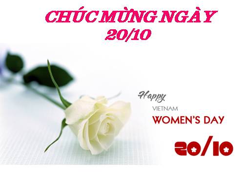 bộ sưu tập ảnh nền ngày 20/11