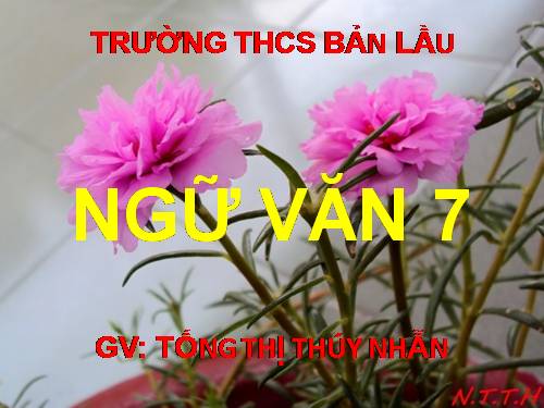 Bài 12. Thành ngữ