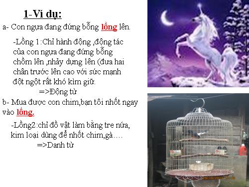 Bài 11. Từ đồng âm