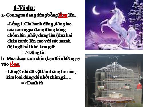 Bài 11. Từ đồng âm