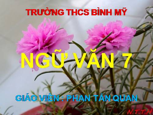 Bài 12. Thành ngữ