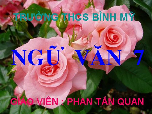 Bài 6. Từ Hán Việt (tiếp theo)