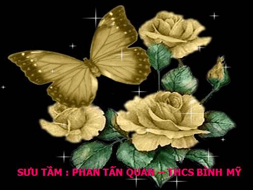 Hình nền động đẹp